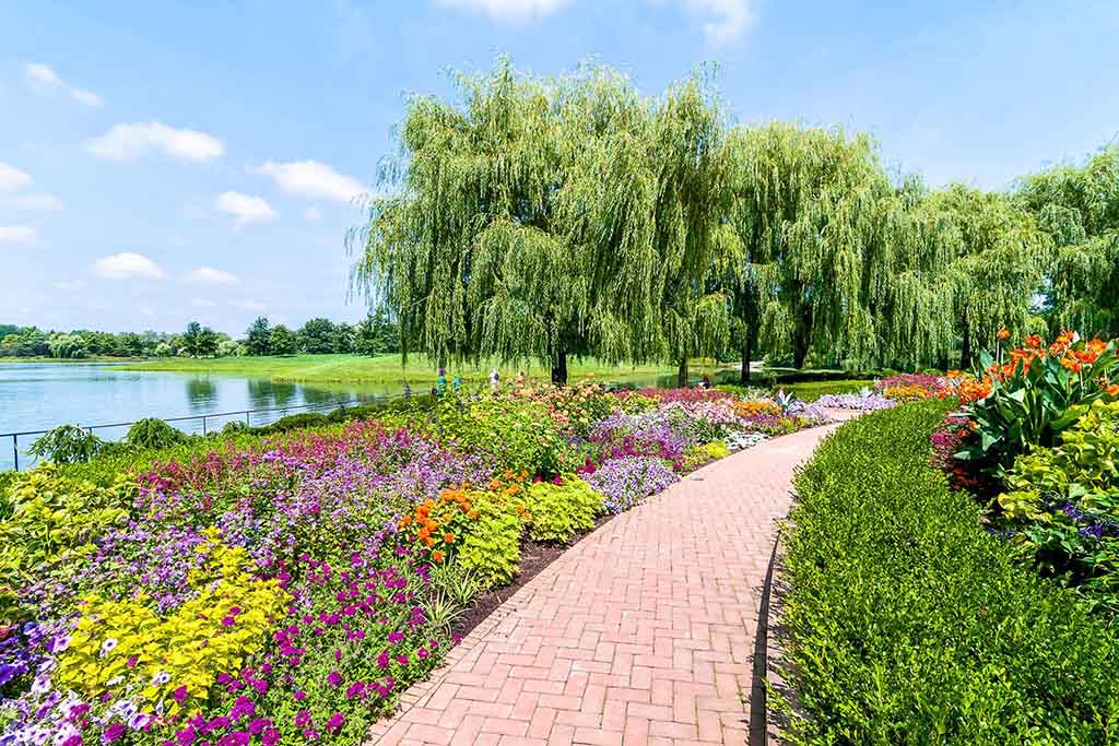 Toronto Botanical Gardens Path