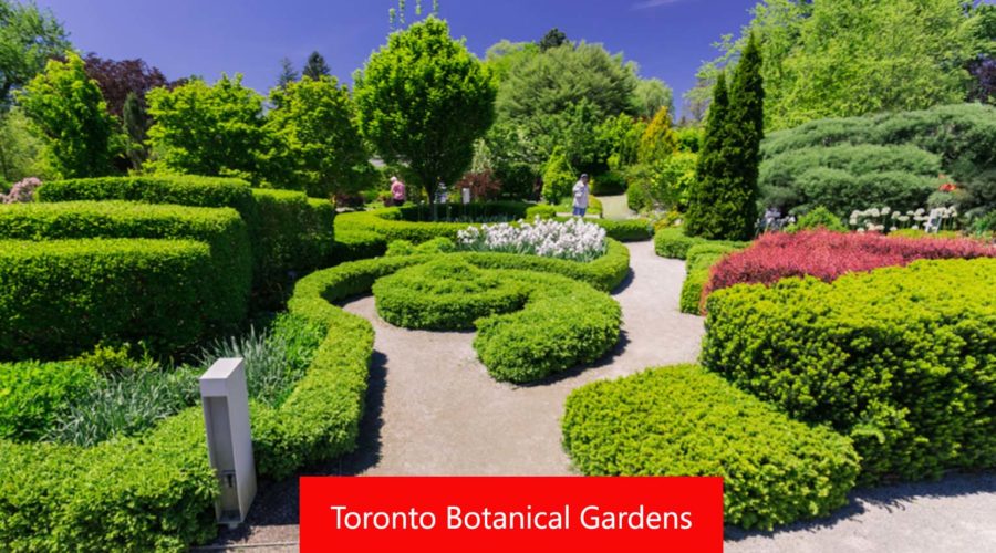 Toronto Botanical Gardens: Explore Nature’s Beauty in 2024