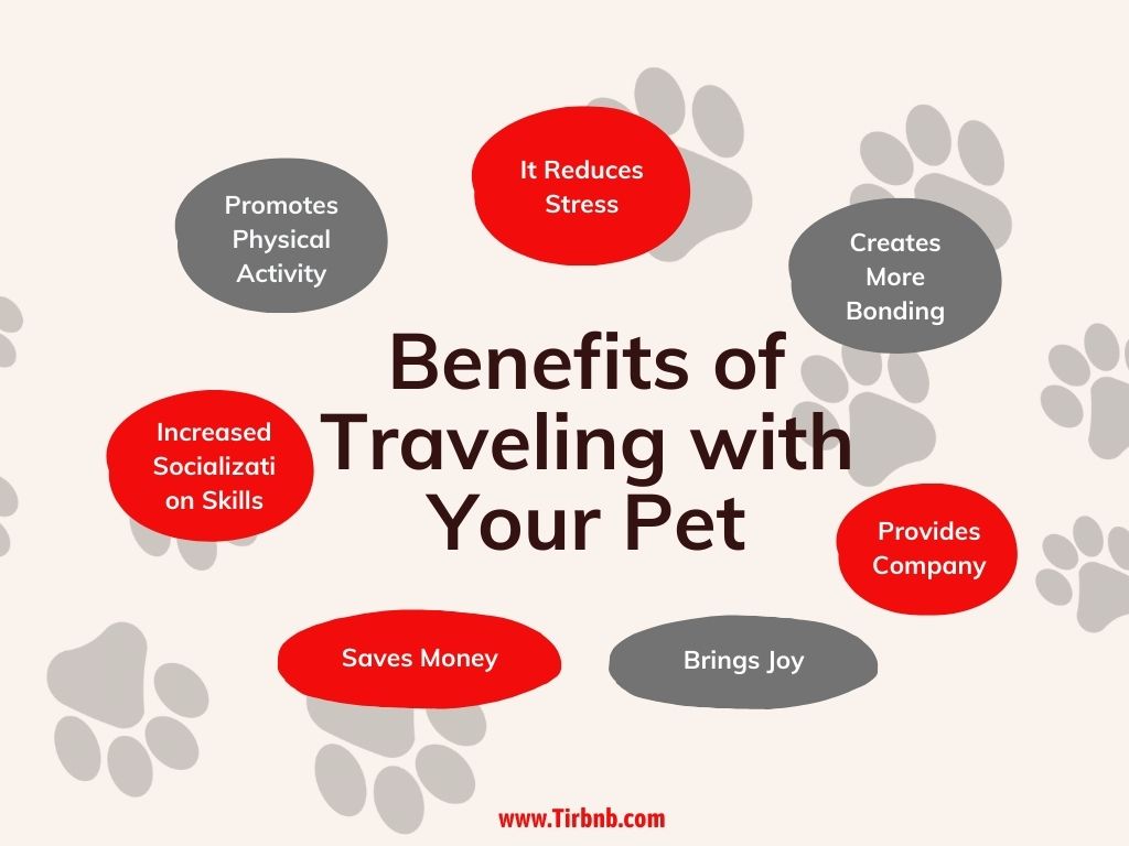 infographic about benefits of traveling with pets