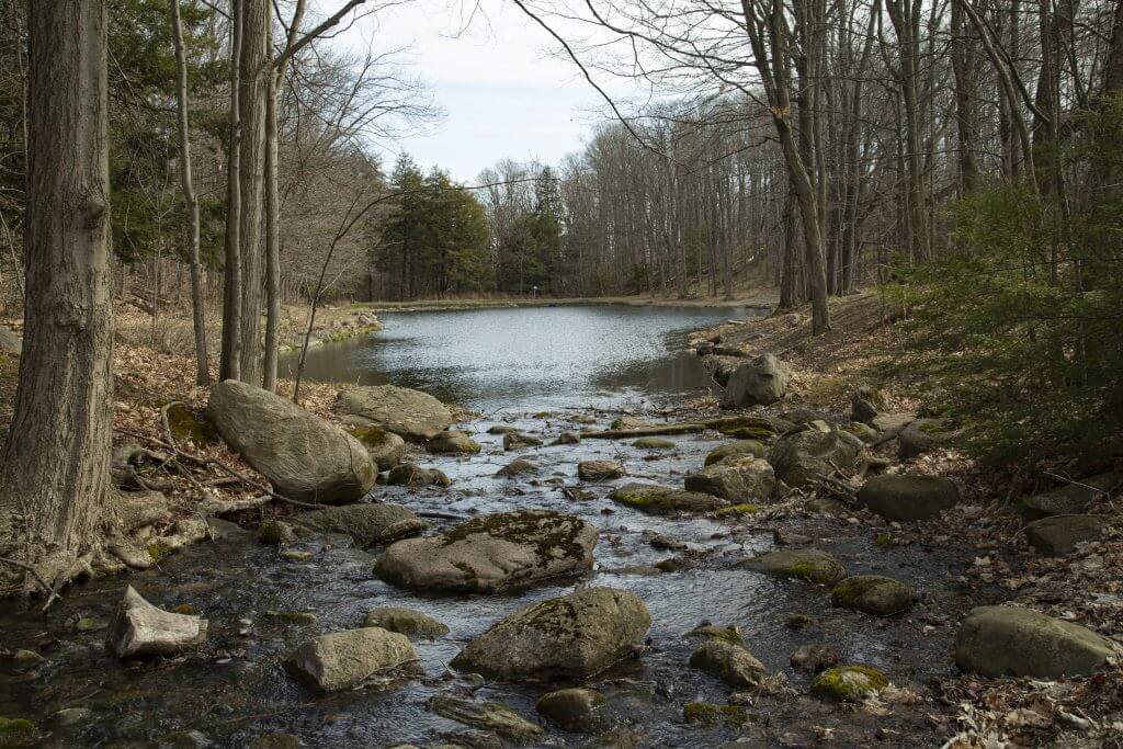 Albion Hills Conservation Area for camping near toronto