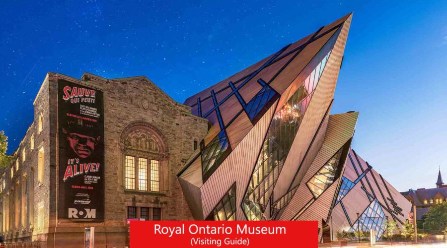 Royal Ontario Museum: Your Visiting Guide in 2024