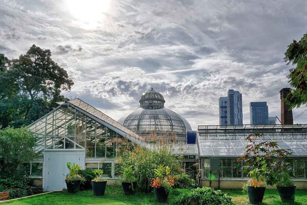 Allan Gardens Conservatory