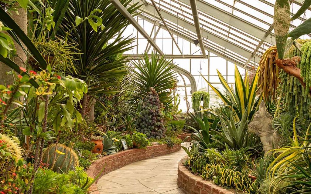 Centennial Park Conservatory