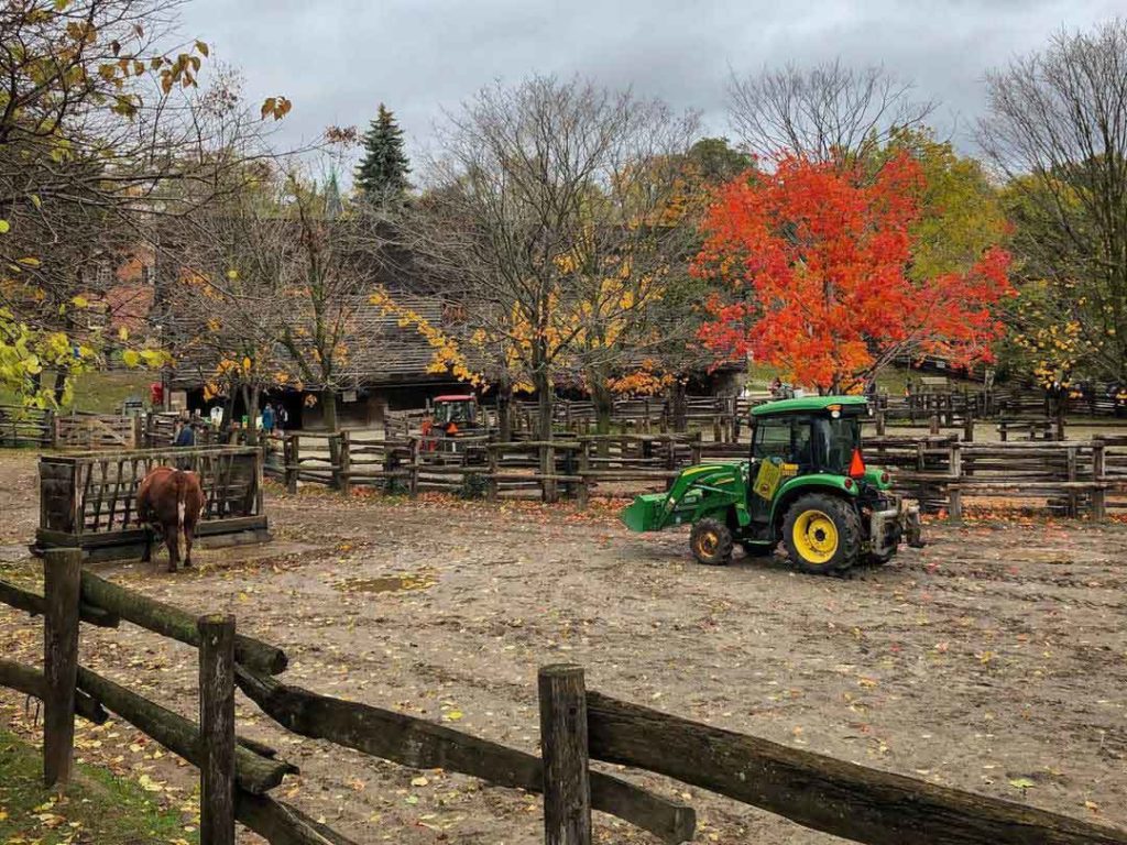 Riverdale Farm in Toronto