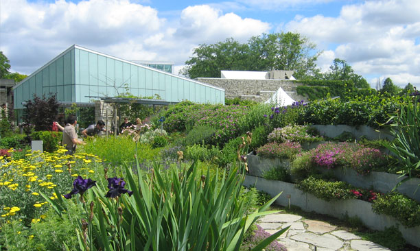 Toronto botanical gardens in summer