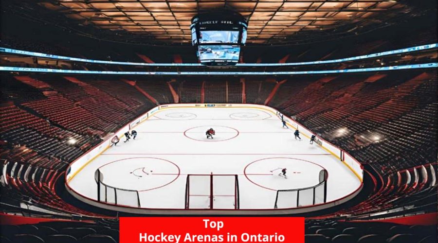 Top 5 Hockey Arenas in Ontario Sports Fans Should See