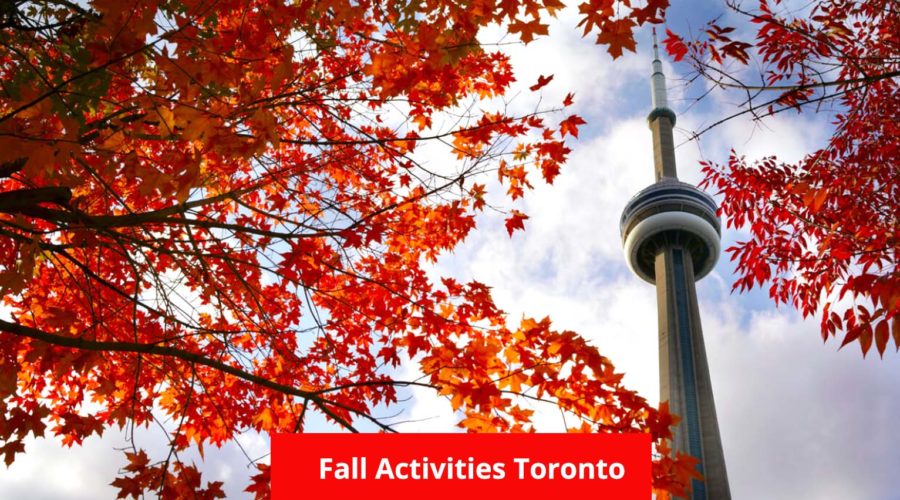 10 Fall Activities in Toronto: Watch Autumn Palette in the City