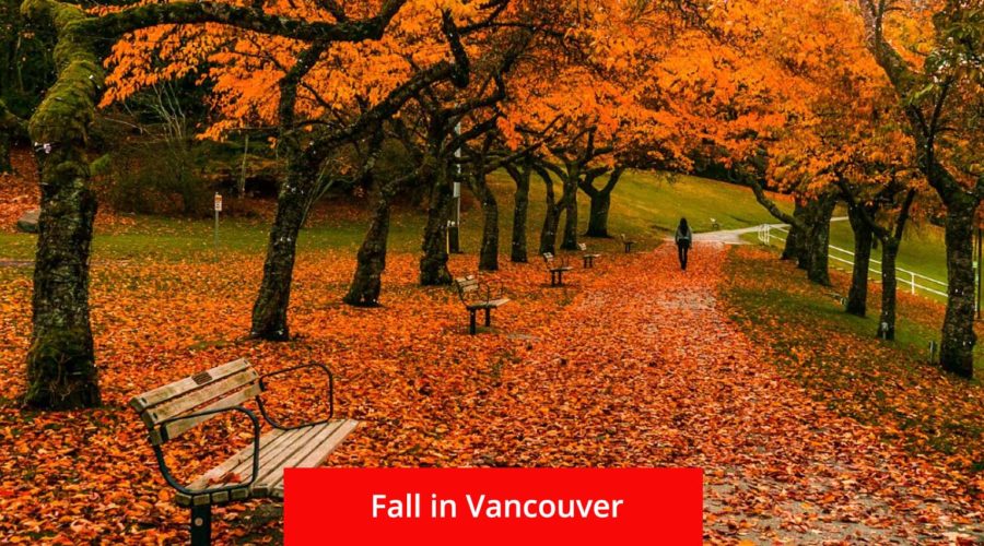 Top 10 Activities for Fall in Vancouver