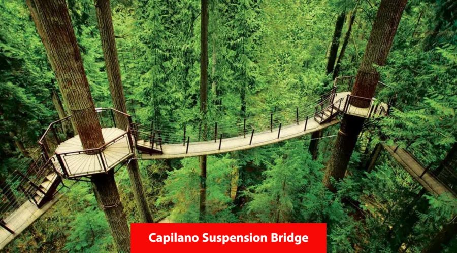 Capilano Suspension Bridge: A 70M Tall Stroll Above the River