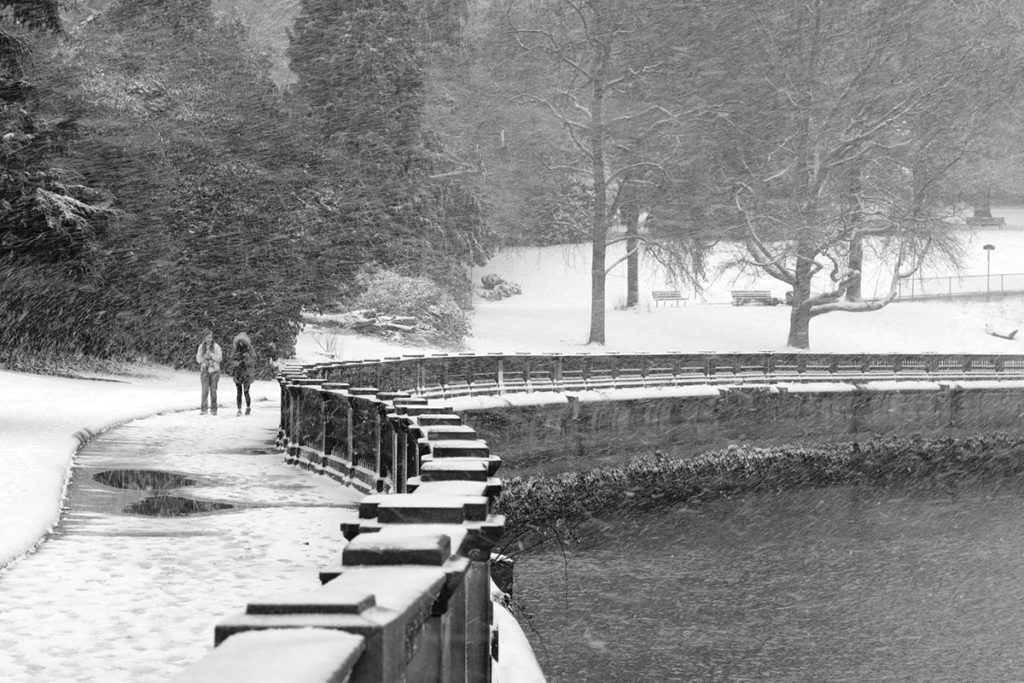 stanley park winter