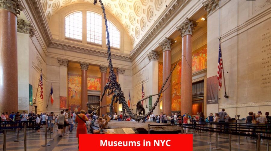 10 Best Museums in NYC: Exploring Art, History, and Science